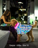 PoochShine™ | Reflective Wear